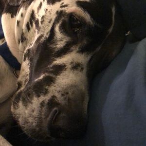 Meet your Posher, Jen